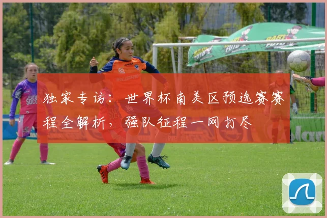 独家专访：世界杯南美区预选赛赛程全解析，强队征程一网打尽
