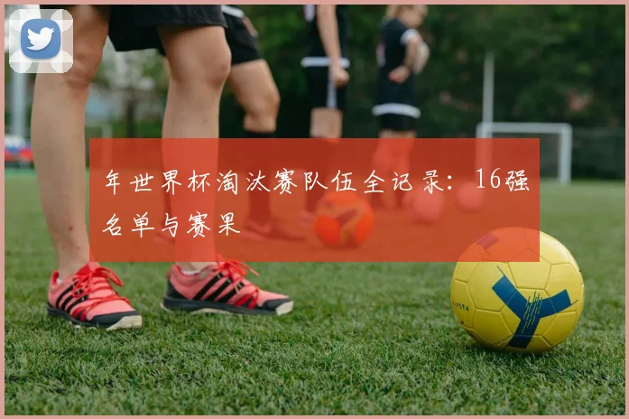 年世界杯淘汰赛队伍全记录：16强名单与赛果