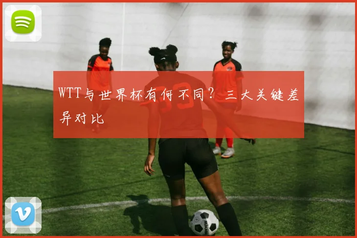WTT与世界杯有何不同?三大关键差异对比