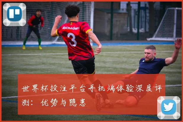 世界杯投注平台手机端体验深度评测:优势与隐患