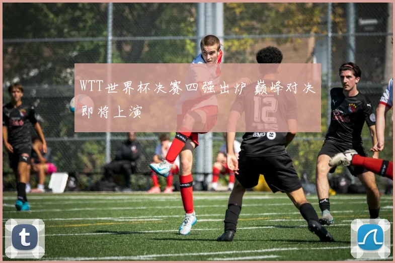WTT世界杯决赛四强出炉 巅峰对决即将上演
