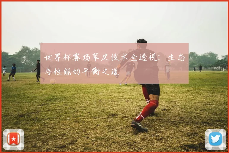 世界杯赛场草皮技术全透视：生态与性能的平衡之道