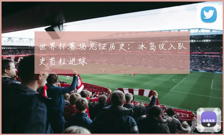 世界杯赛场见证历史：冰岛攻入队史首粒进球