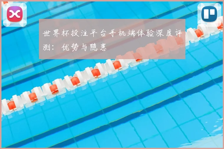 世界杯投注平台手机端体验深度评测:优势与隐患