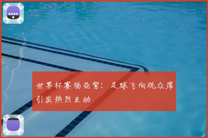 世界杯赛场花絮:足球飞向观众席引发热烈互动
