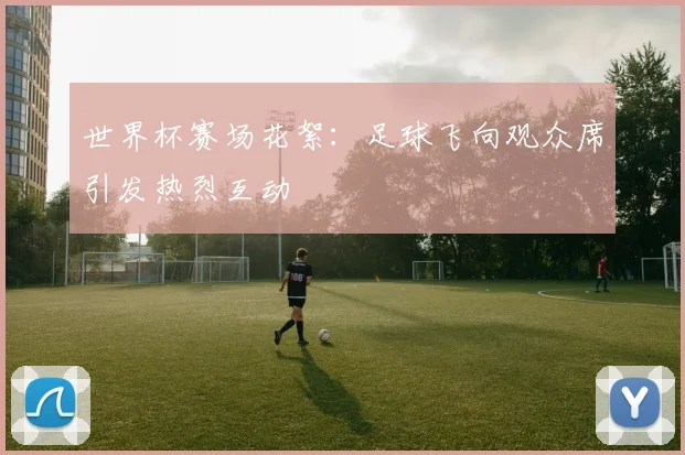 世界杯赛场花絮：足球飞向观众席引发热烈互动