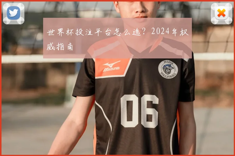 世界杯投注平台怎么选?2024年权威指南