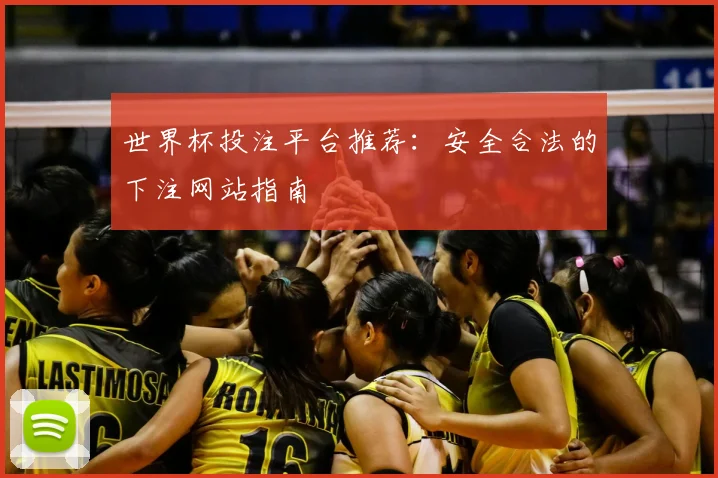 世界杯投注平台推荐:安全合法的下注网站指南