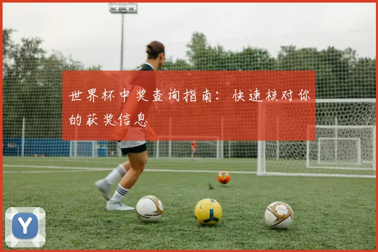 世界杯中奖查询指南：快速核对你的获奖信息